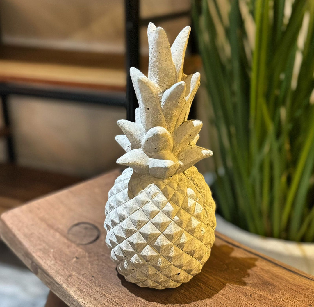 Piña – TallerDOCE