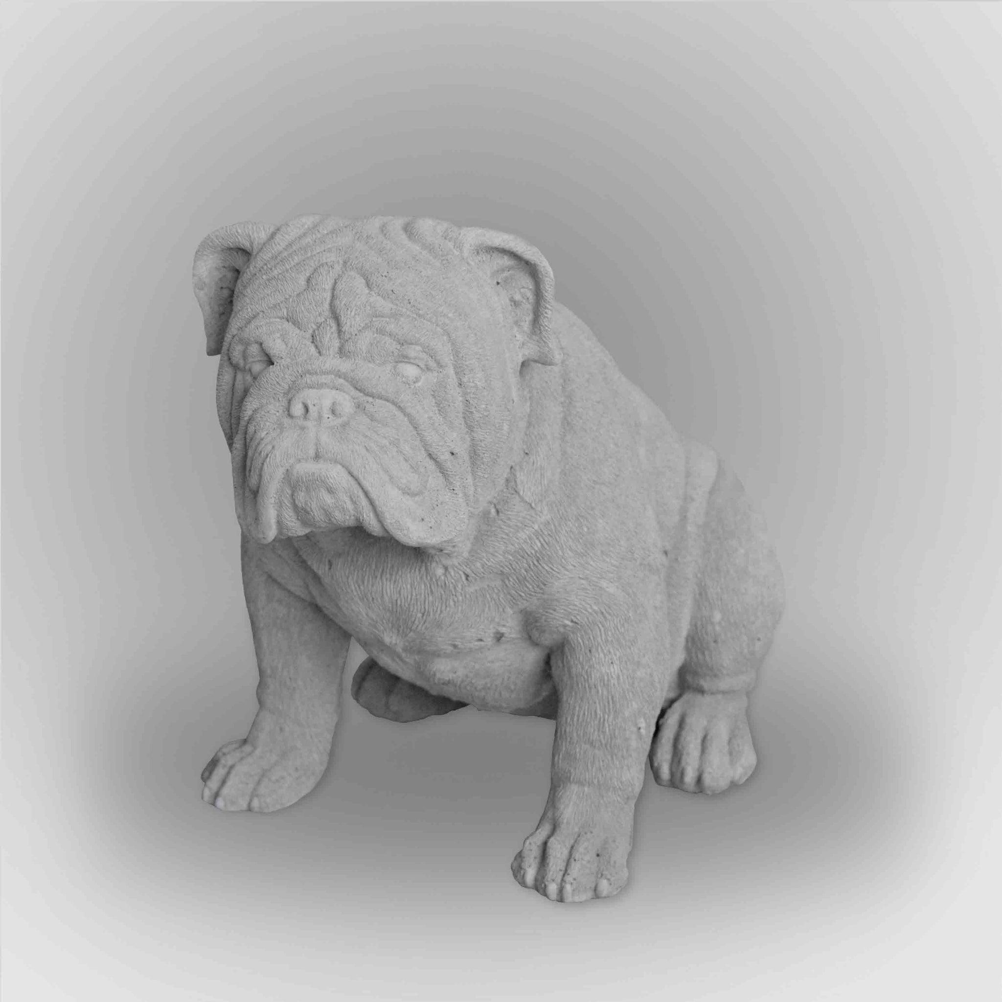 Perro Bulldog Ingles (Gde)